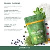 Primal Harvest Primal Greens Organic Barley Grass Powder Vitamins Minerals