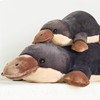 RejoyLix Platypus Plush Toy, Platypus Stuffed Animal,Soft Platypus Gifts Toys,Furry