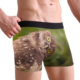 Funny Burrowing Owl Men Boxer Briefs Men's Underwear Comfort Soft Boxer Briefs