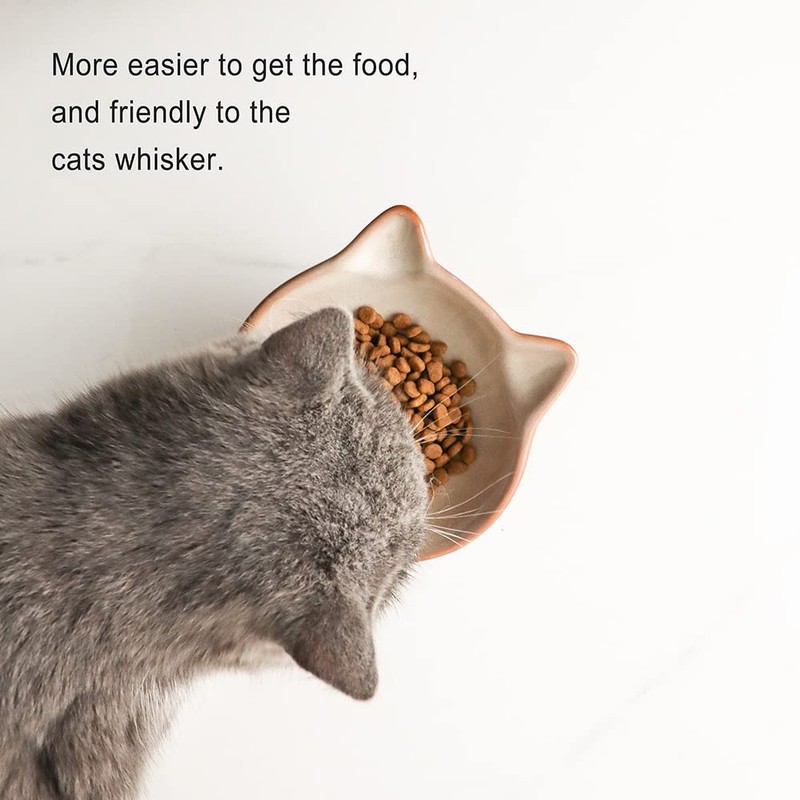 Nihow Elevated Cat/Dog Bowls: 5 Inch Ceramic Raised Cat Food