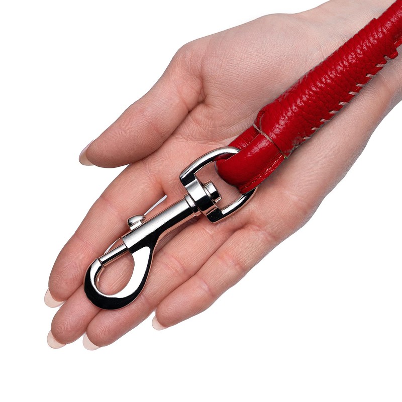 OOPSDOGGY Rolled Leather Dog Lead 6ft Heavy Duty Training Leash