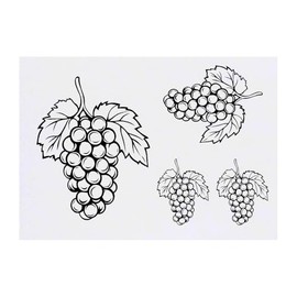 4 x 'Grapes with Leafs' Temporary Tattoos - Water Resistant, Skin-Safe, Non-Toxic Transfers, Mixed Sizes (TO00077274)
