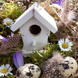 100PCS Spotted Guinea Feathers Extra Small Spotted Feathers 2-4 inch for Craft Dream Catchers