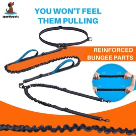 SparklyPets - Hands Free Double Dog Leash - Dual Dog Leash for 2 Small Dogs - with Padded Handles, Reflective Stitches - No Pull, Tangle Free, for Walking, Hiking, Canicross - for Small Dogs