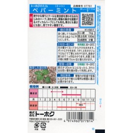 TOHOK Co., Ltd. Peppermint 07781 Green