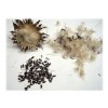 Cardo Mariano Extracto-tintura 120ml Gotero Incluido