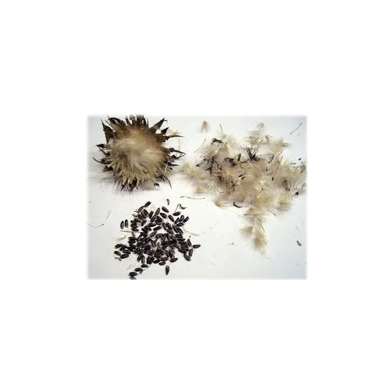 Cardo Mariano Extracto-tintura 120ml Gotero Incluido