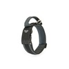 Julius-K9 Colour and Gray Collar with Handle, Safety Lock and