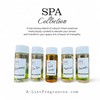 A-List Fragrances A-List Discovery KIT - Try Our Most Popular