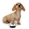 Comsmart Dog Training Bell, Set of 2 Dog Puppy Pet