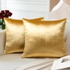 OTOSTAR Pack of 2 Velvet Soft Decorative Throw Pillow Covers