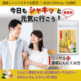 大日ヘルシーフーズ ローヤルゼリー 濃縮にんにくの力 30粒入×1袋 にんにく卵黄 ビタミンB1 サプリ