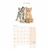 Cute Cats Wall Calendar 2025 (PFP)