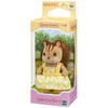 Girl of Sylvanian Families doll walnut walnut squirrel squirrel family