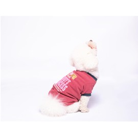 LHYZ PARK Dog Shirts Pet Printed Clothes with Funny Letters Spring Pet T Shirts Cool Puppy Shirts Breathable Dog Outfit Soft Dog Sweatshirt for Pet Dogs Cats (Red, Medium)