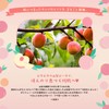 Rururun Face Mask Pack, Yamanashi and Nagano Rururun (Peach-Scented), 7