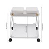 BuYouZaiLaa Portable Trolley Beauty Salon Nail Or Foot Bath Spa