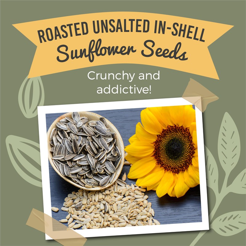 Sunburst Sunflower Seeds In Shell, Dry Roasted (No Oil, No