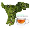 Teabox Premium Darjeeling Green Tea Sampler Bags 100pcs (10pcs X