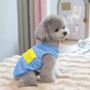 BROUAURPE Summer Mesh Shirt for Dogs and Cats, Lightweight Breathable