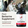 Ultra6 Berberine Supplement Capsules 600mg (1200mg to 1800mg Daily) –