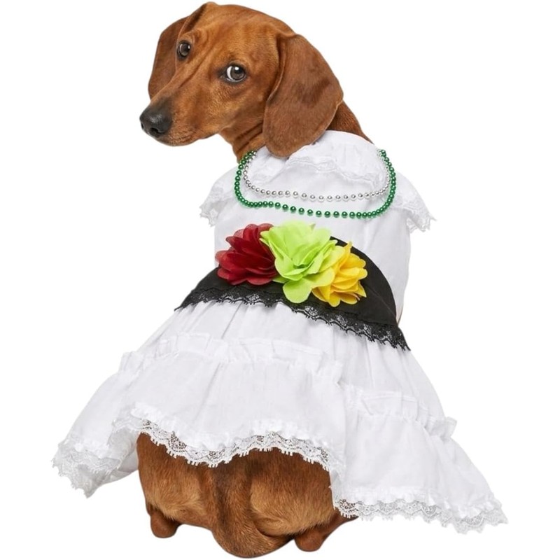 Genérico Disfraz Vestido Jarocha Veracruzana Mexicana para Perro y Gato
