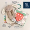 Itzy Ritzy Bunny Lovey & Crinkle Book Gift Set -