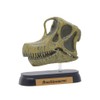 73506 Dinosaur burakiosaurusu Skull Mini Model (FDW – 506)