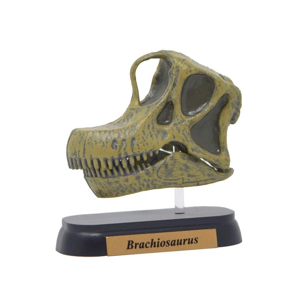 73506 Dinosaur burakiosaurusu Skull Mini Model (FDW – 506)