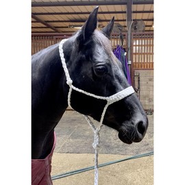 Mule Tape Halter with 10' Detachable Lead - Cob / Pony - Color: Turquoise/Black