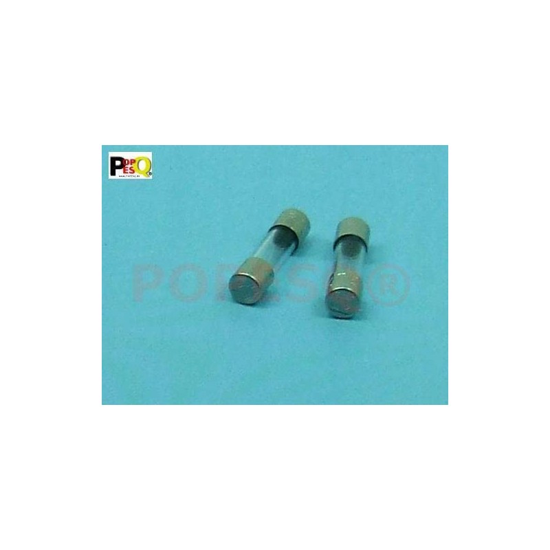 POPESQ® 2 Stück Glassicherung 20 mm x 5 mm 0,2