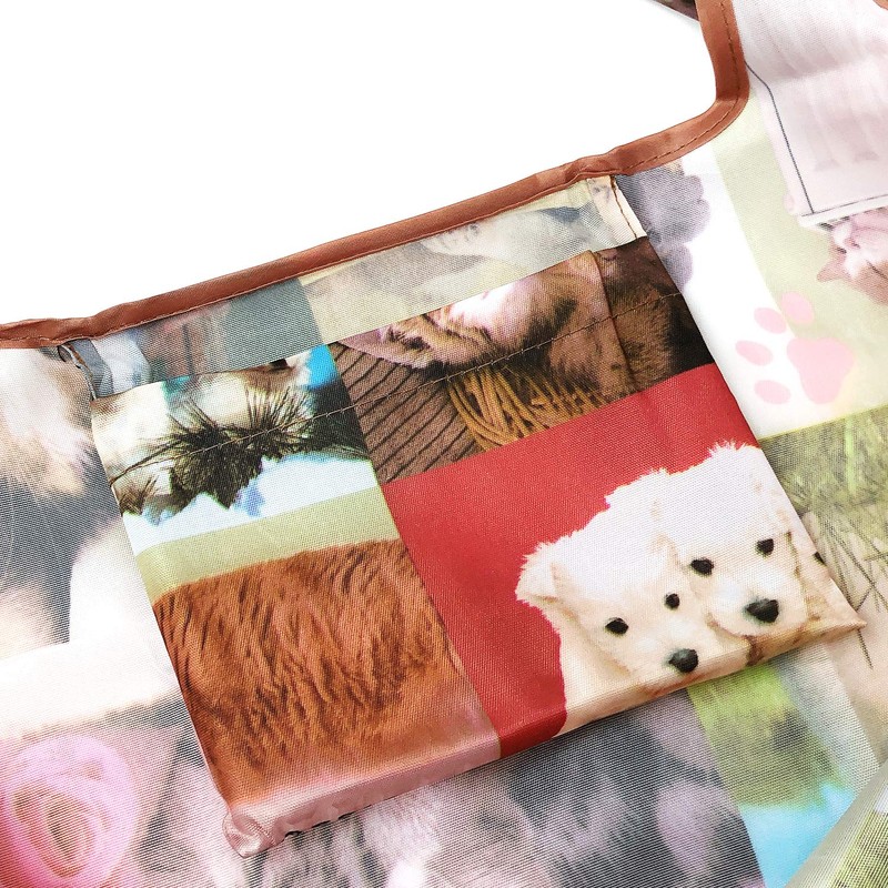 allydrew Large Foldable Tote Nylon Reusable Grocery Bag, Cats &