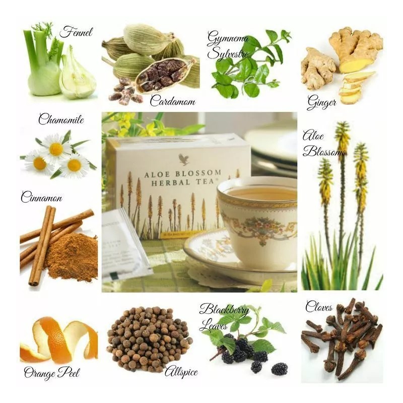 Forever 3 boxes Forever Aloe Blossom Herbal Tea (25 bags