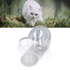 Pet Water Dispenser Food Feeder Cat Automatic Drinking Snail Shape