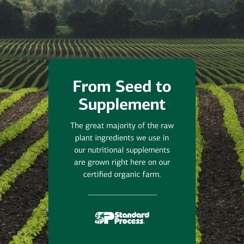 Standard Process Arginex - Liver & Kidney Health Supplement -