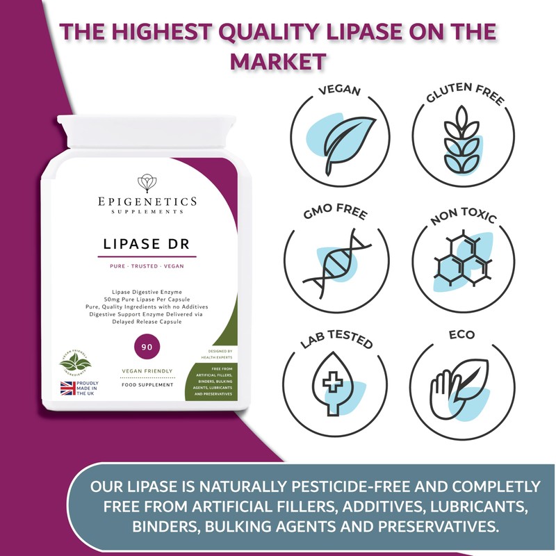 Epigenetics Lipase DR (Delayed Release) 50mg | Digestive Enzyme Supplements