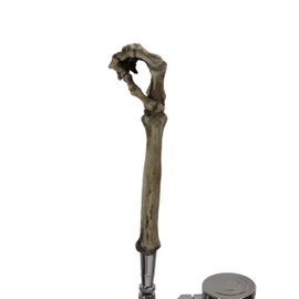 Kool Collectibles Realistic Skeleton Arm Sports Bar Beer Tap Handle Kegerator Resin Zombie Breweriana Bar