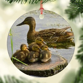 Use, Washington, Juanita Bay, Mallard Duck Christmas Ornament, Xmas Home Decorative Hanging Ornament, Xmas Tree Decor Pendants Christmas Decoration Clearance