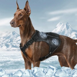 Climate-Control Dog Vest Harness | Cooling & Heating for All Seasons | Detachable Thermal Module with 10000mAh Battery | Durable Oxford Fabric & Ice-Silk Lining (XL, Black)