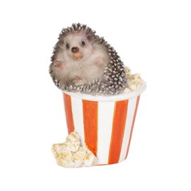 Uvia Popcorn Hedgehog (Mini) 1.1 x 1.1 x 1.2 inches (2.7 x 2.7 x 4 cm) Doll Figurine Figurine Animal Garden Decoration Hedgehog H24043