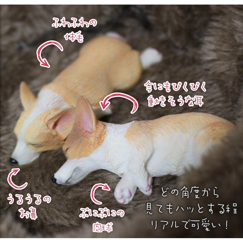 (moin moin) Dog, Dog, Fluffy, with Bed, Dog, Realistic Figure,