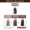 Treatment Hair Dye, Silaganese Point Rich Color EX, Partial Gray