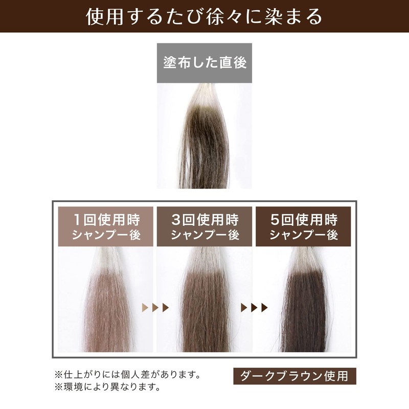 Treatment Hair Dye, Silaganese Point Rich Color EX, Partial Gray