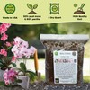 Orchid Plant Potting Soil Mix Peat Moss & Perlite (½