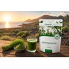 Barley Grass Powder Raw Barley Grass 500g QUALITY