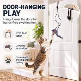 Door Hanging Cat Toy for Interactive Play – Dark Gray Hanging Teaser Toy for Kittens & Indoor Cats