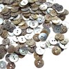 New Upick 11/13/15/23mm 100pcs Shell Buttons Sewing Craft Buttons 2