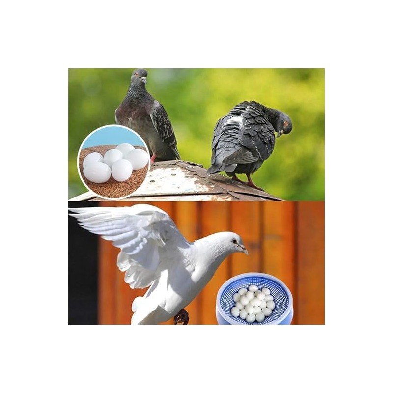 10pcs Solid Parrot Plastic Fake Eggs Realistic Simulated Fake Bird
