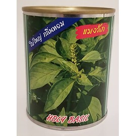 Thai Holy Basil Seeds in 50g Bulk Can