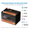 12V 12AH Sealed Lead Acid Battery compatible with STRONG